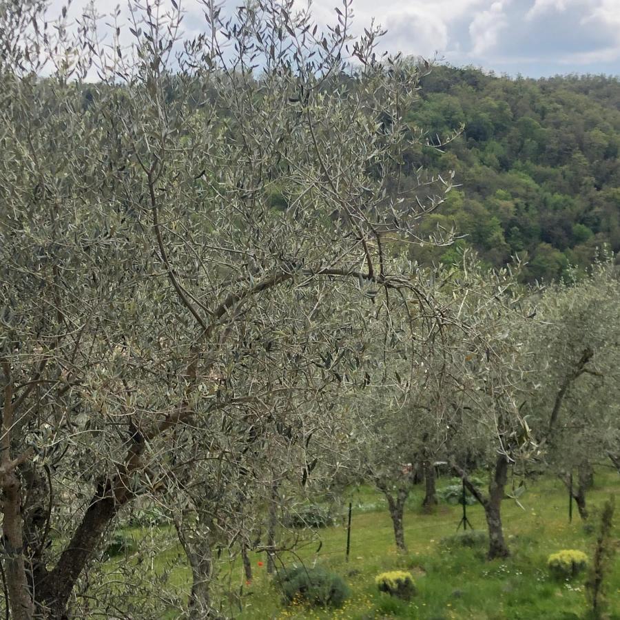 La Maison De Campagne Rigomagno Экстерьер фото